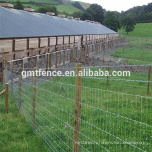 Горячее оцинкованное горячее покрытие высокого качества / забор крупного рогатого скота